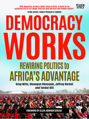 cover image of Democracy Works